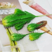 4pcs Artificial Yellow Green Cactus Plants Wedding Party Decor Home Garden   302845020747